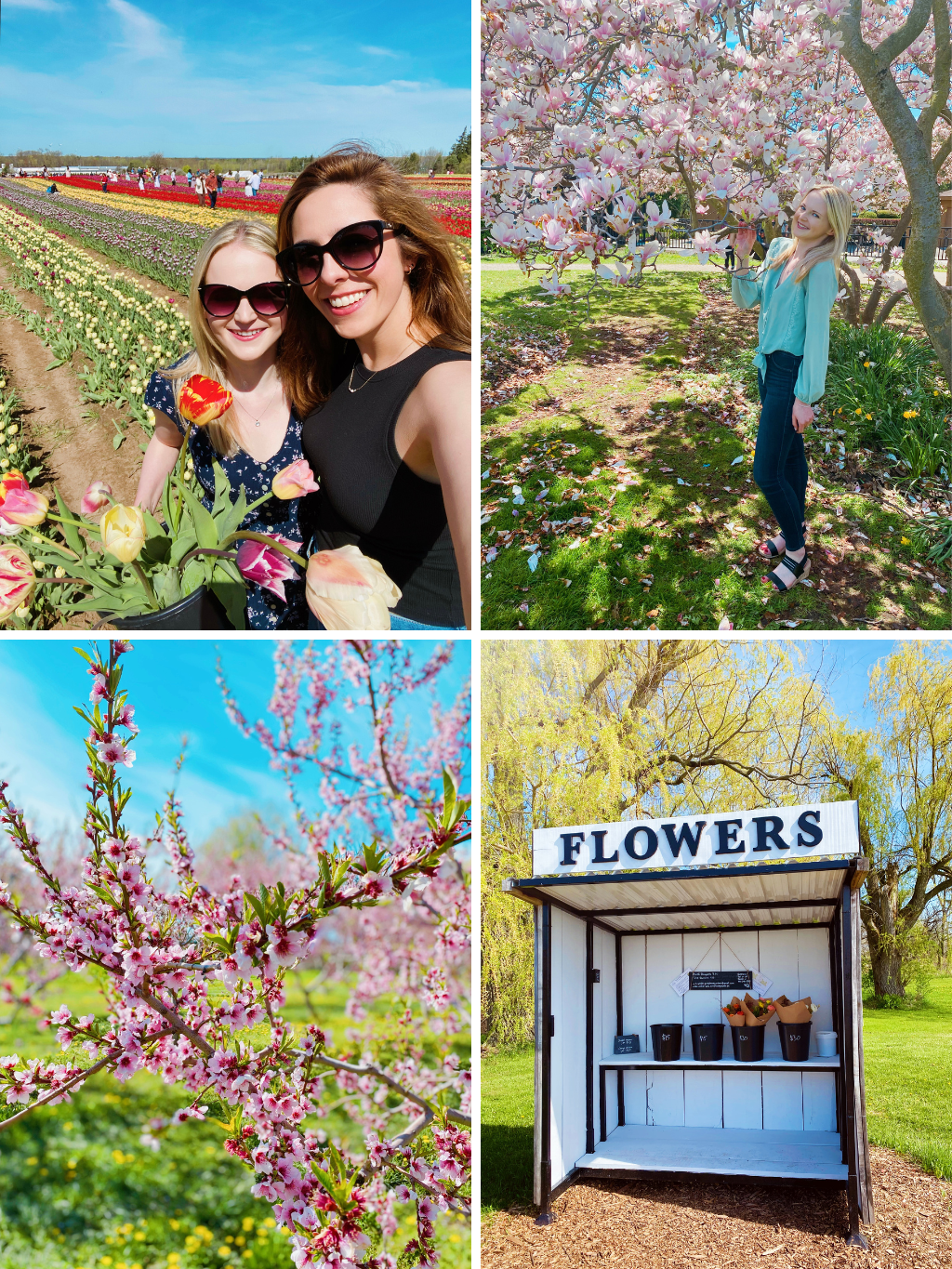 Where To See Spring Flowers In Niagara
