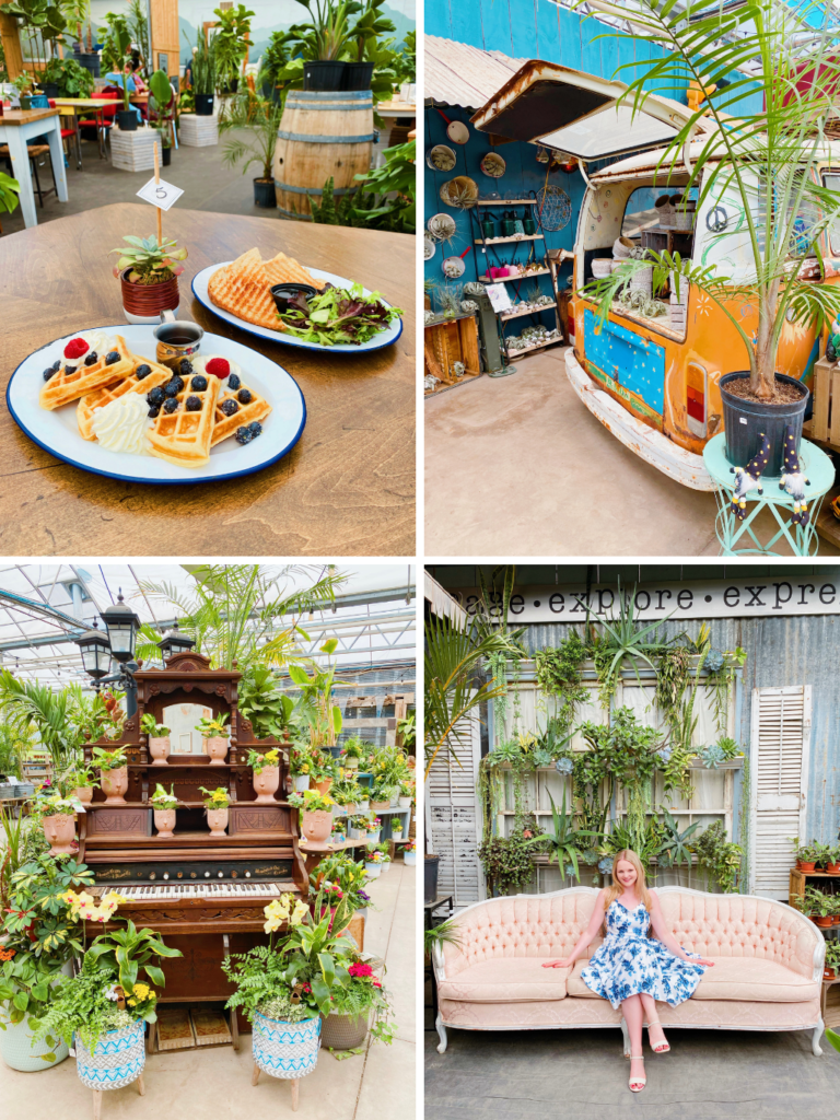 The Watering Can Flower & Pastry Market - Exploring the Best of Toronto ...