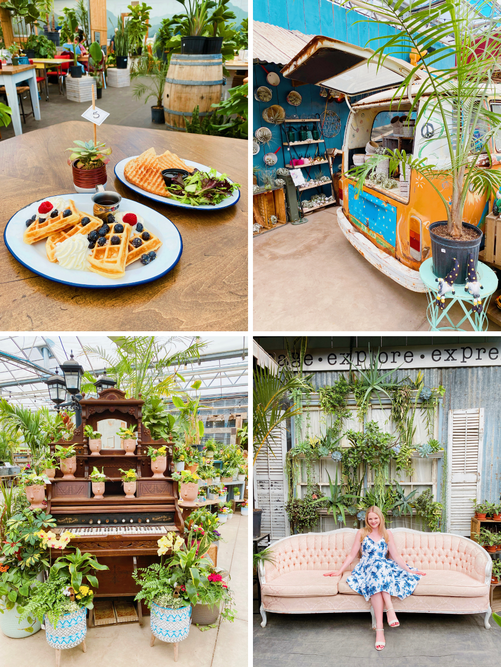 The Watering Can Flower & Pastry Market