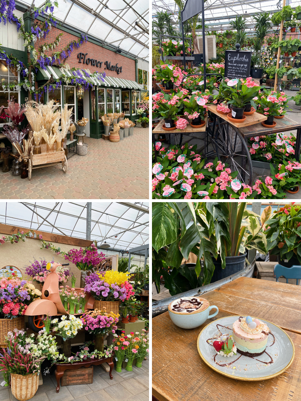 Spring At The Watering Can